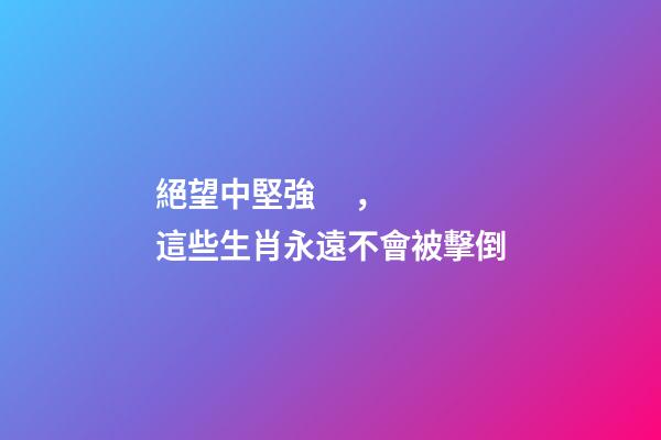 絕望中堅強，這些生肖永遠不會被擊倒